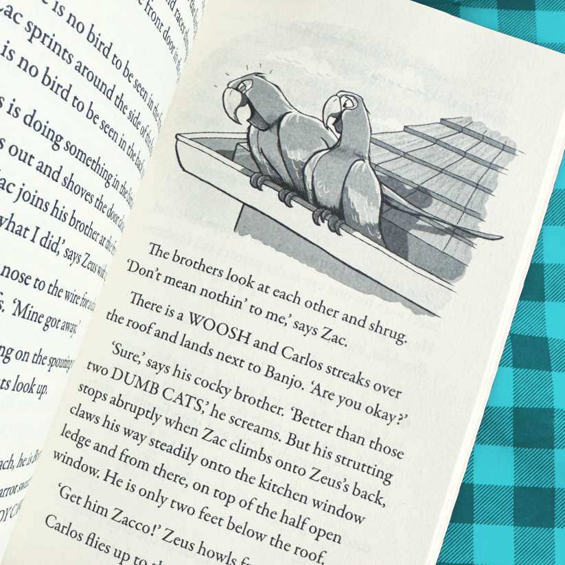 Inside photo of the Jimmy Whiskers and the Great Parrot Rescue. It shows Carlos and Banjo on the spouting of a house and shows what the inside of the book looks like, so parents can judge.